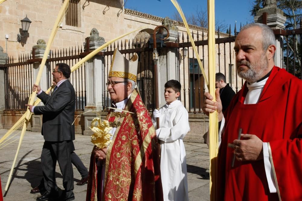 Bendición de ramos y palmas