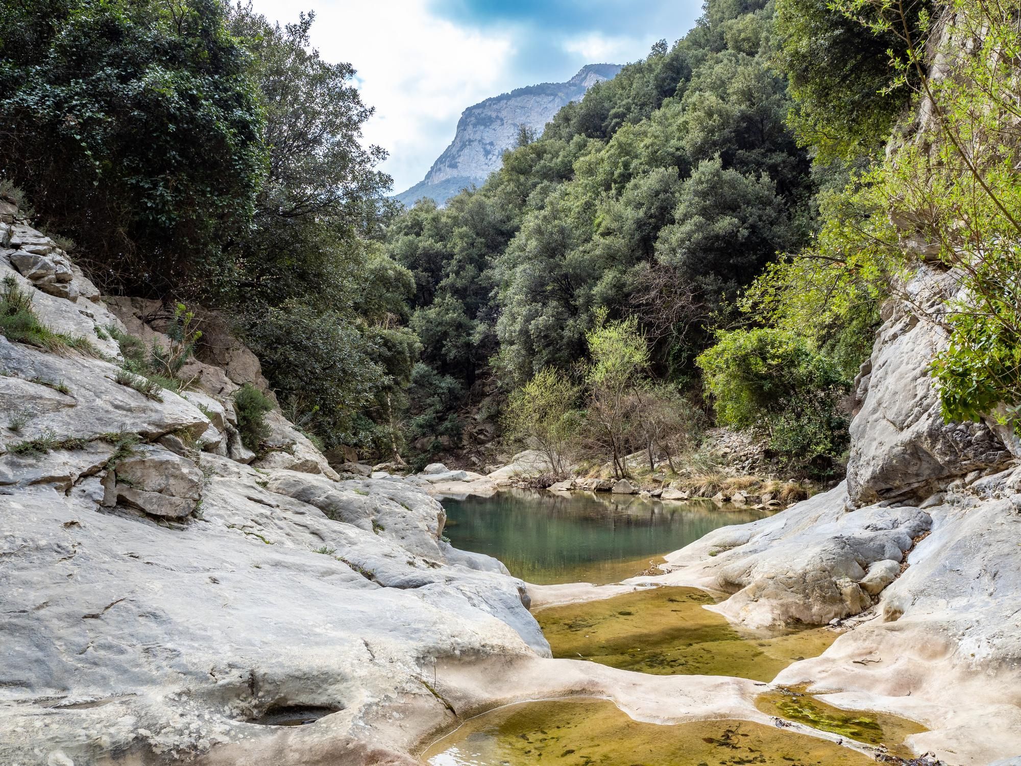 Arroyo en la La Garrotxa en Girona