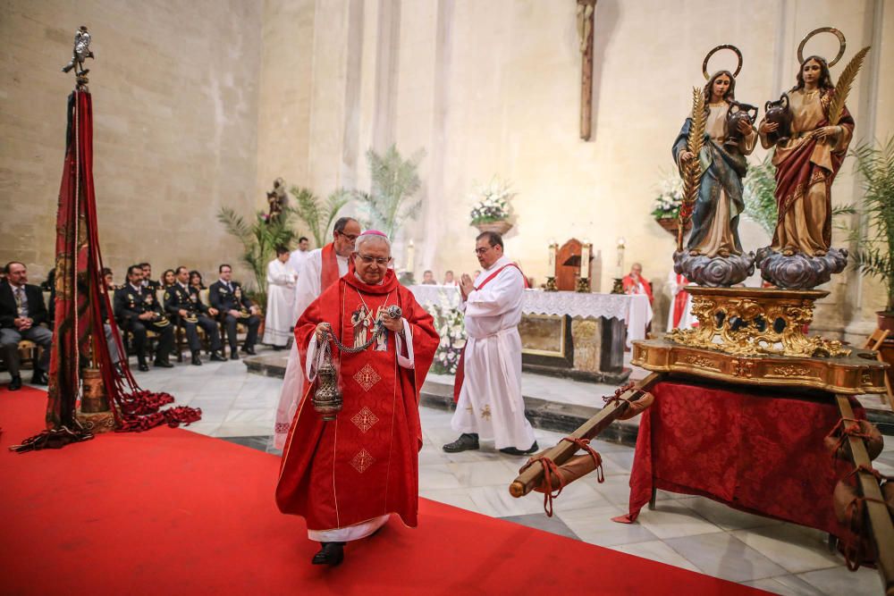 Pájaro Oriol en Orihuela