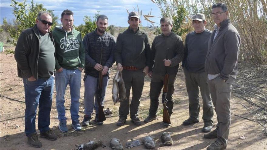 Los cazadores no pueden con la plaga de conejos