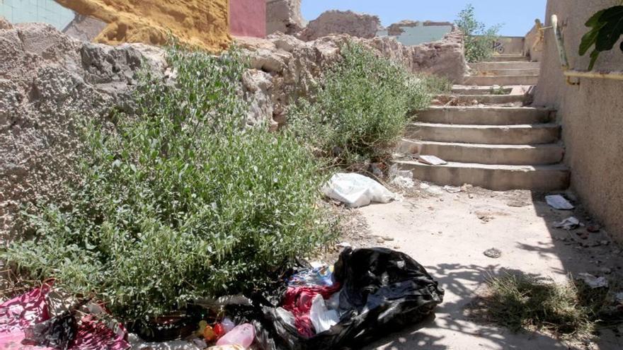 Los mosquitos acechan a Ciudad Jardín y Santa Lucía