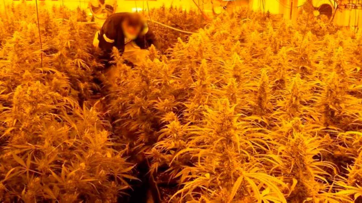 Los Mossos desarticulan una banda de tráfico de drogas a gran escala en toda Europa