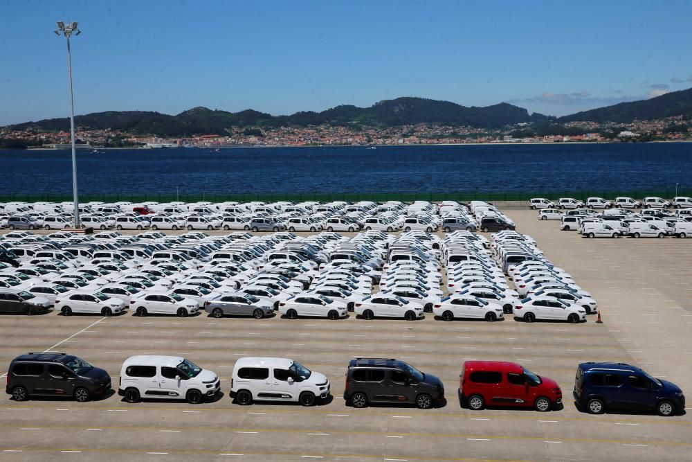 Los vehículos, en la terminal de Bouzas // Marta G. Brea