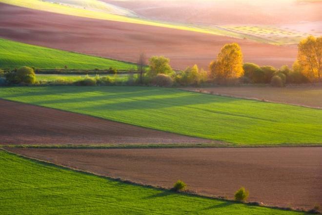 Tierra de Campos