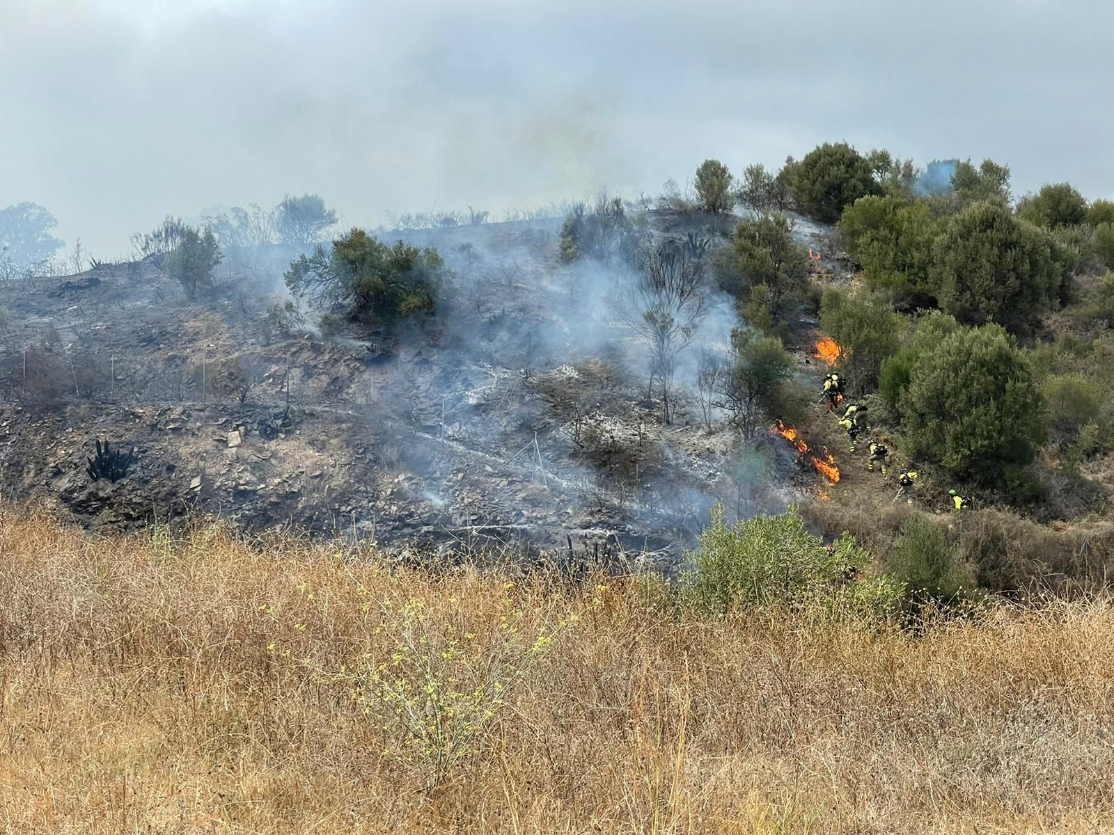 Incendio del paraje Cerro del Mesto de Mijas