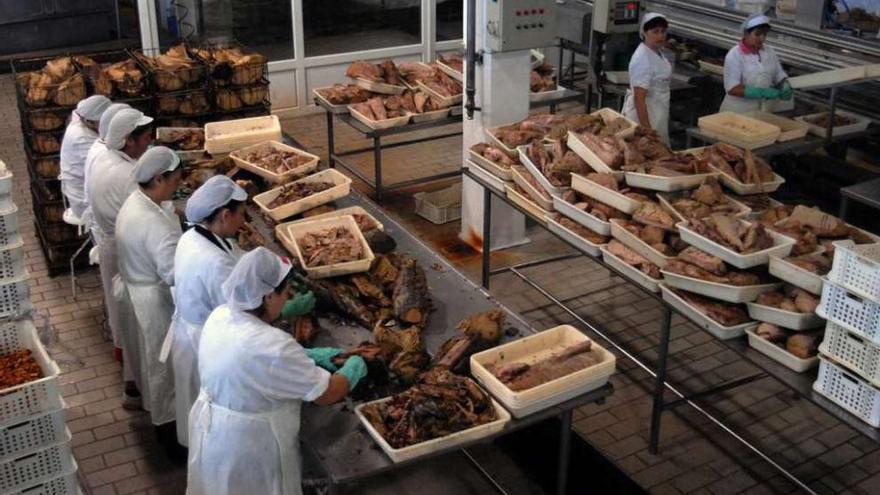 Trabajadoras de una fábrica de conservas gallega.