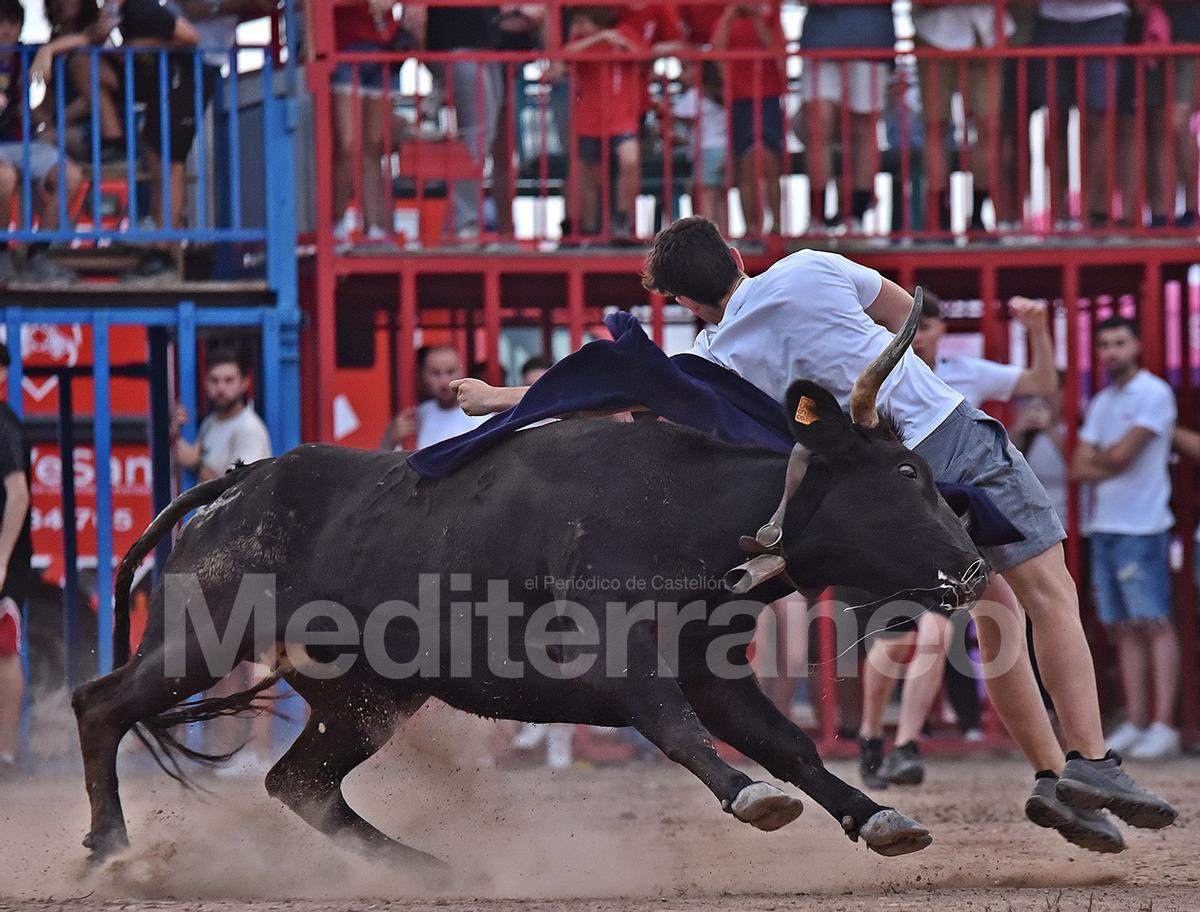 Bous a Les Alqueries 2025