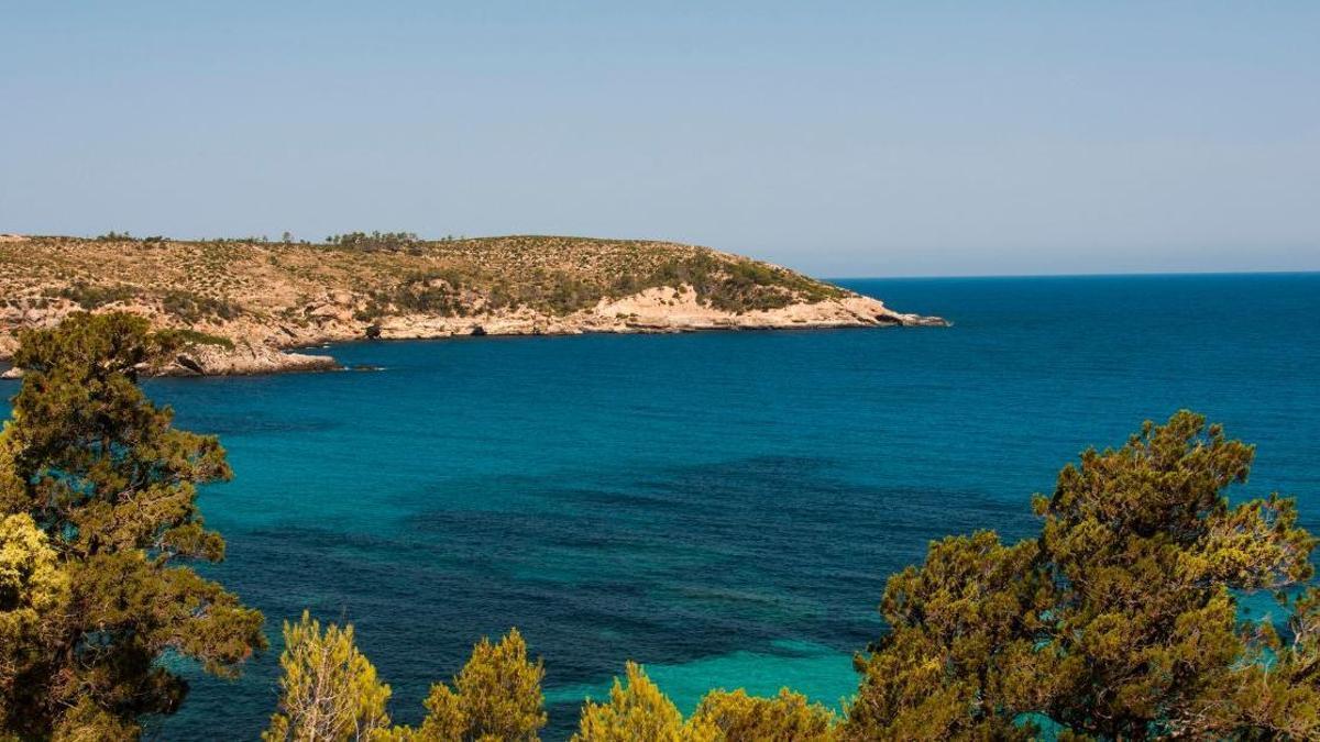 Port Sant Miquel, in Sant Joan.