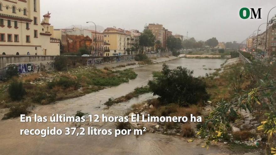 La lluvia lleva el agua al río Guadalmedina