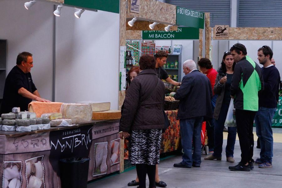 Ecocultura Zamora 2016