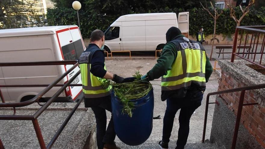 Investigadores sacan grandes cantidades de marihuana de un piso de la barriada del Infante, en Murcia, en diciembre.