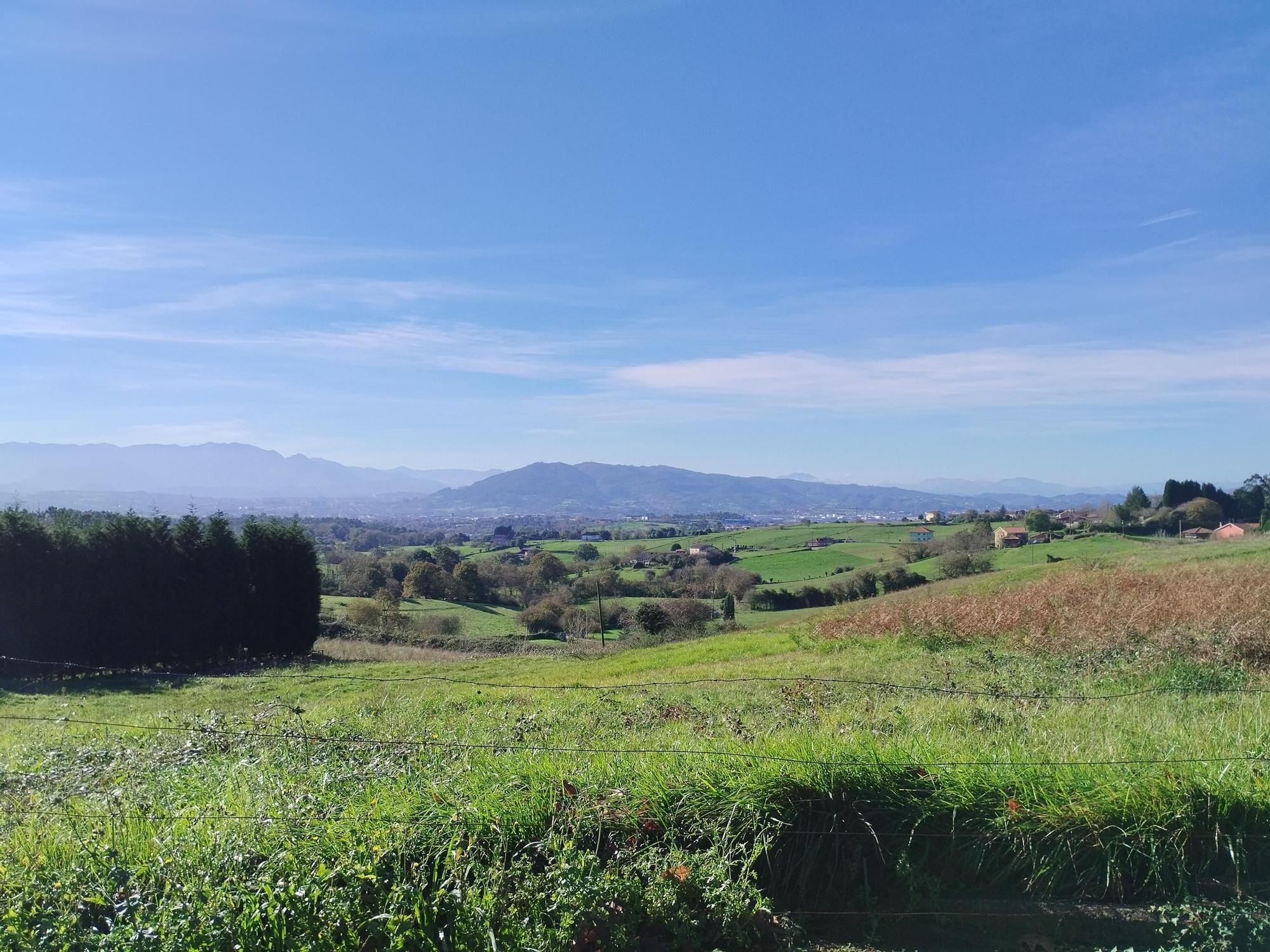 La ruta circular de Pruvia desde la urbanización de Soto de Llanera, en imágenes