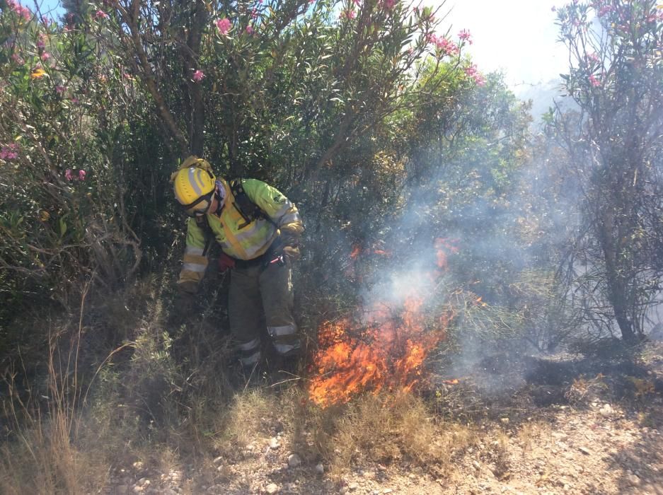 Un incendio forestal en Parcent obliga a desalojar una decena de viviendas