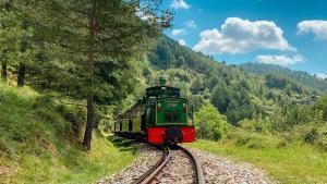 Tren del Ciment, en ruta.
