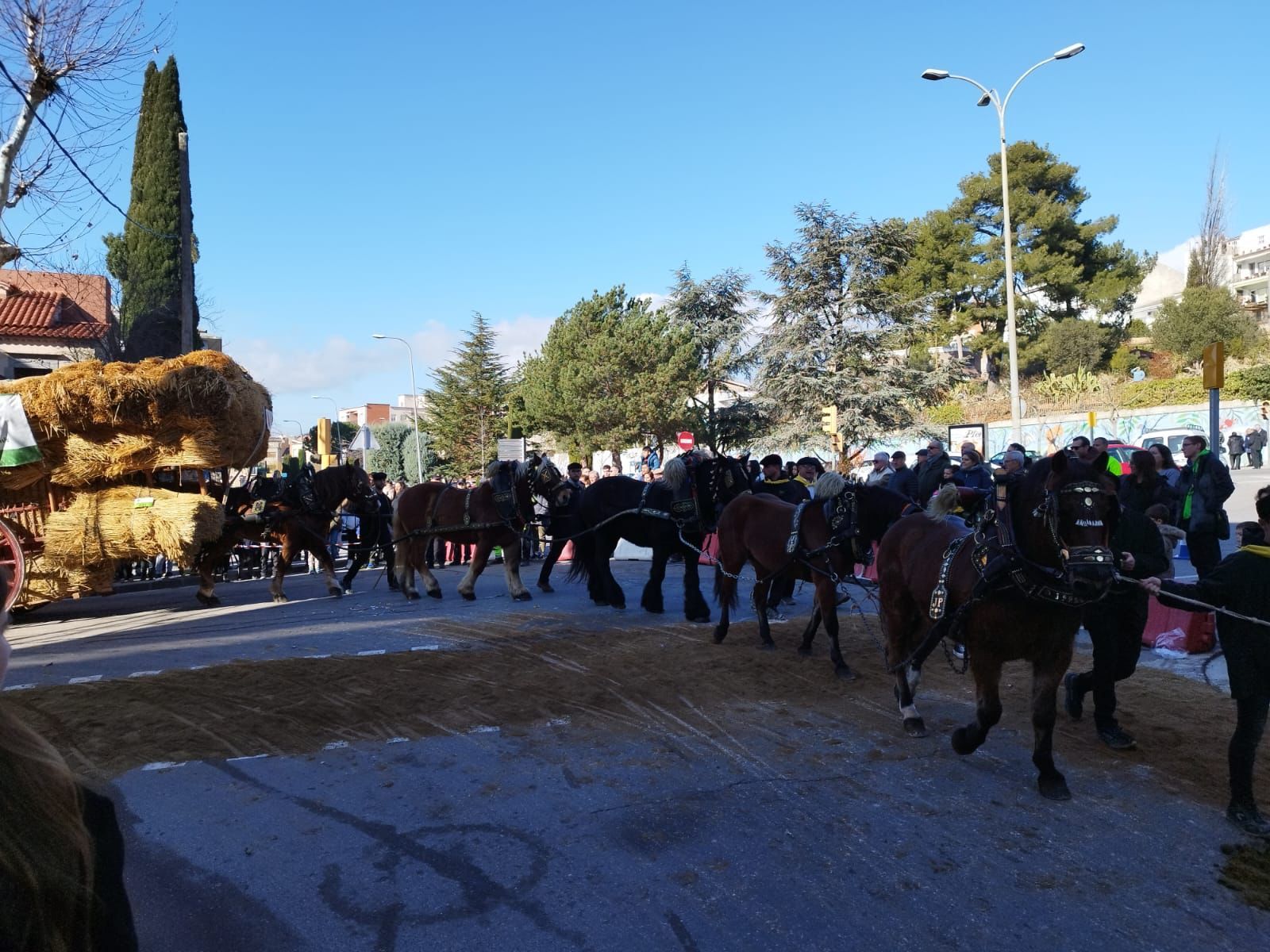 Els Tres Tombs d'Igualada porten una cinquantena de carruatges