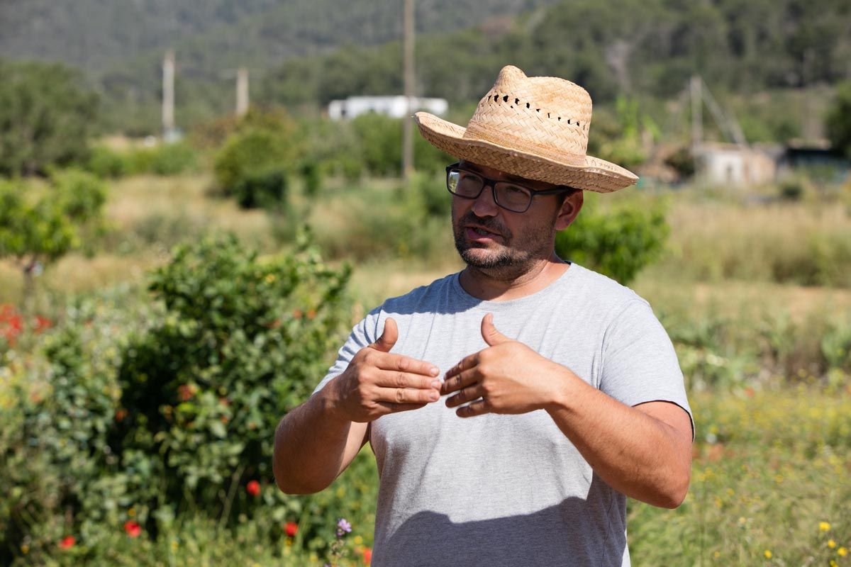 Finca ecológica Tierra de Ibiza