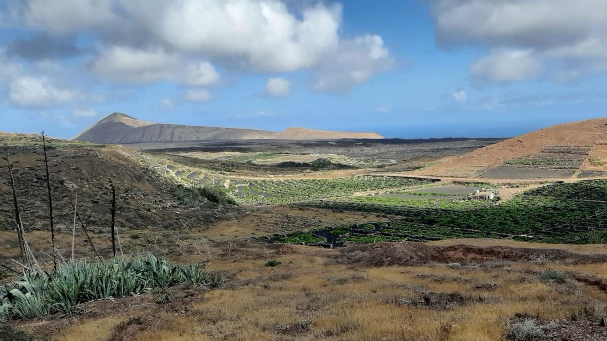 Fincas en la zona de Tinguatón, en Lanzarote.