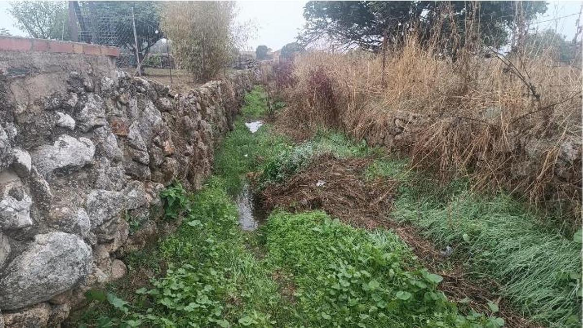 Cauces de Torremocha Antes