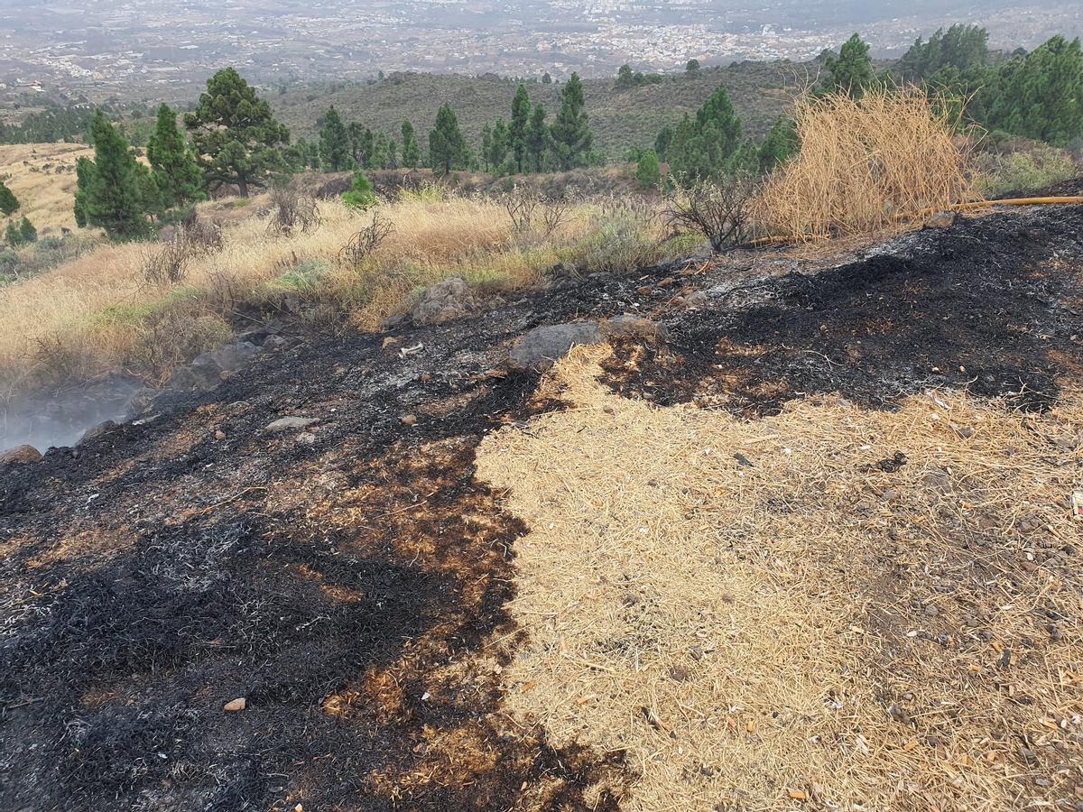 Conato de incendio en el sureste de Tenerife