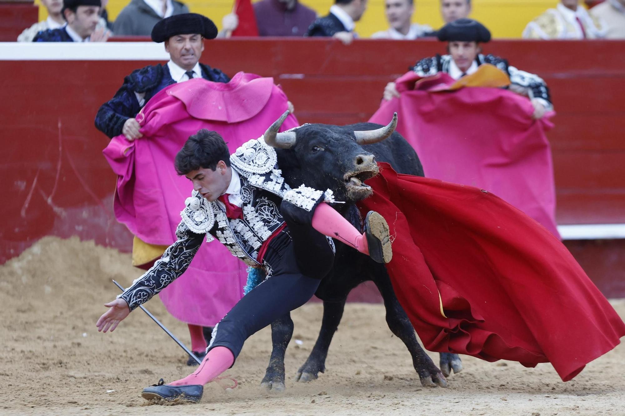 La novillada sin picadores de la Feria de Fallas, en imágenes