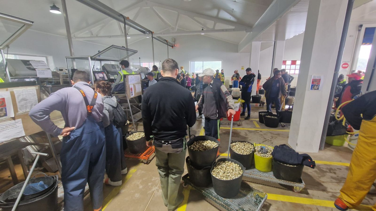 Así es el día a día en el puerto y la lonja de O Testal (Noia), donde cada vez se dan cita más mariscadores arousanos.