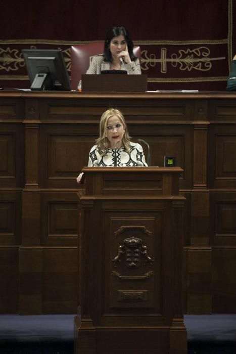 19/01/2017.CANARIAS.Pleno del Parlamento de Canarias..Fotos: Carsten W. Lauritsen