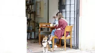 Einkehren mit Hund: In diesen Lokalen auf Mallorca sind Vierbeiner willkommen