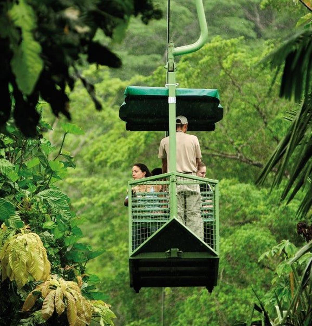 Los 15 parques nacionales de Panamá ocultan 967 especies de aves y 1.500 de mariposas.