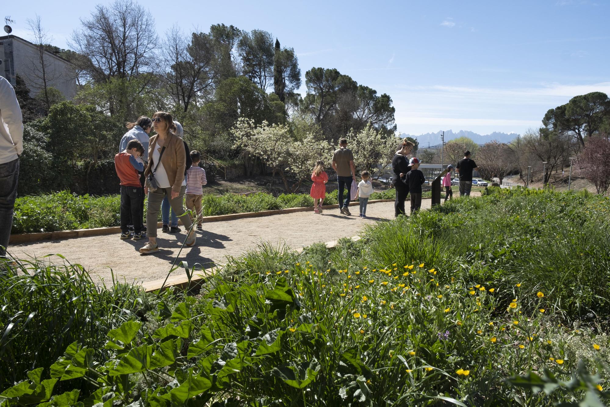 Inauguració del jardí de les papallones de Sant Fruitós