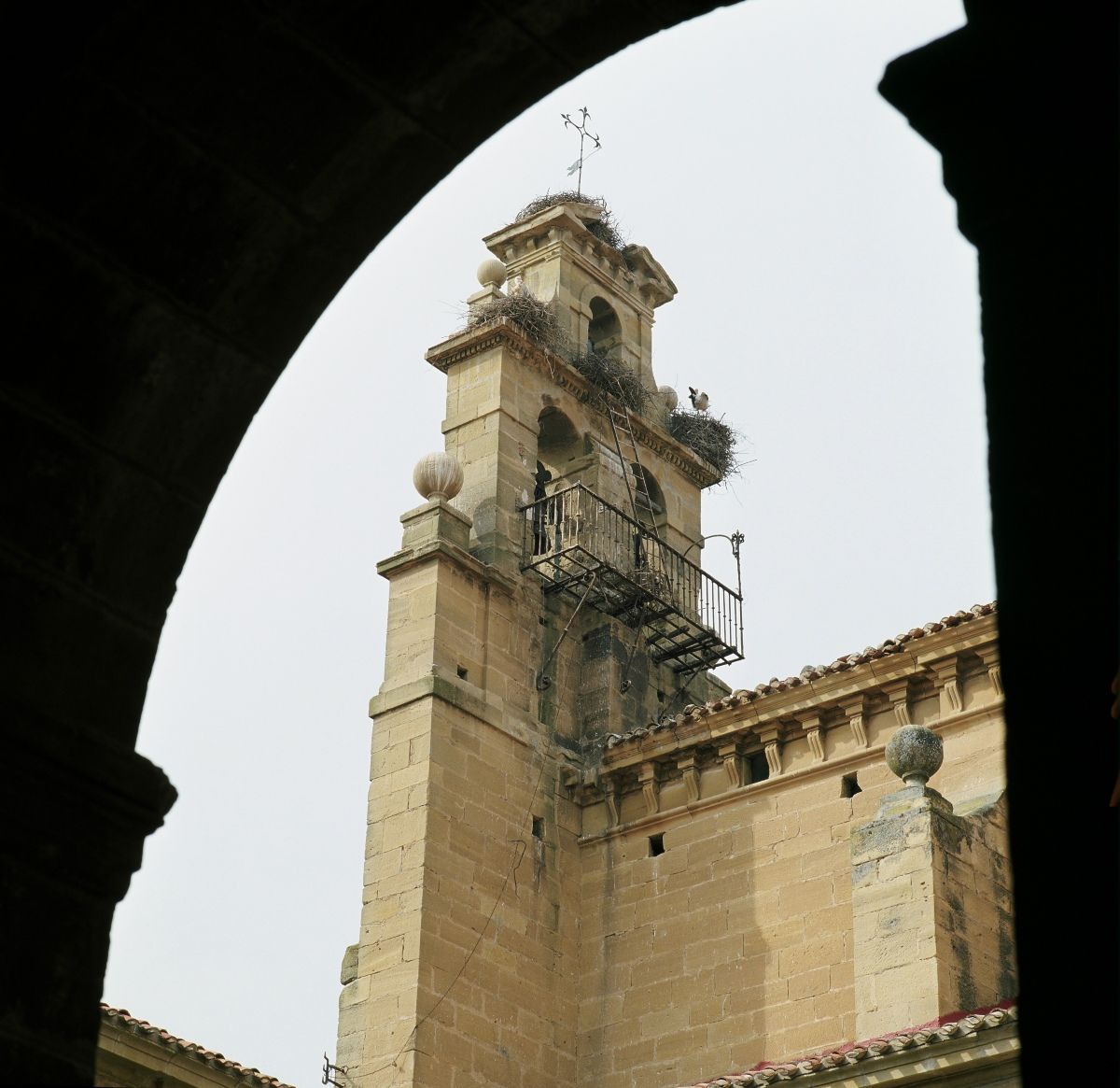 El Parador cuenta con algún que otro huésped volador.