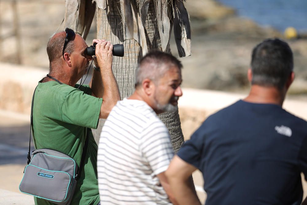 Frustrado el primer intento de sacar el 'Harmonya' de es Caló des Moro