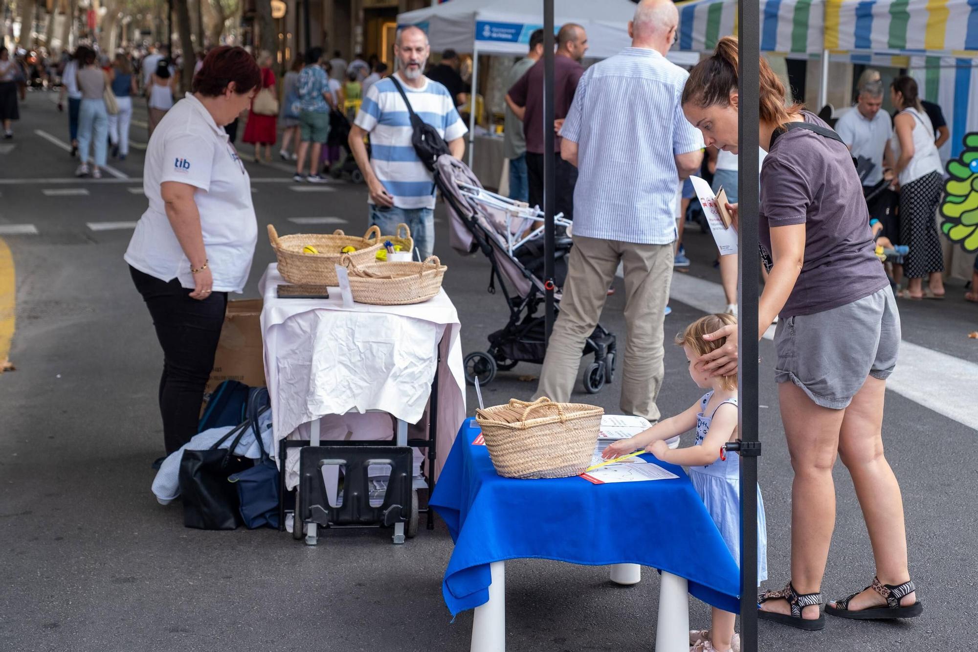 Palma celebra la Diada de la Movilitat