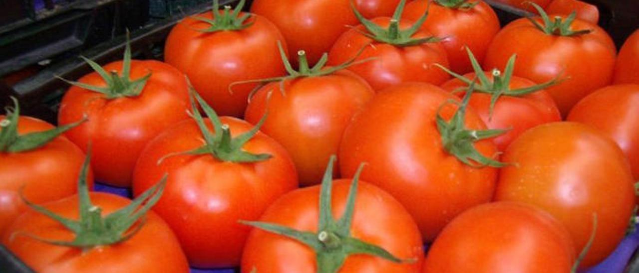 El tomate canario de exportación cierra el año con una caída de 6.624 toneladas