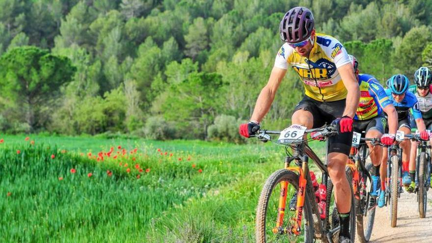 Els variats paisatges de l&#039;Anoia tornaran a lluir