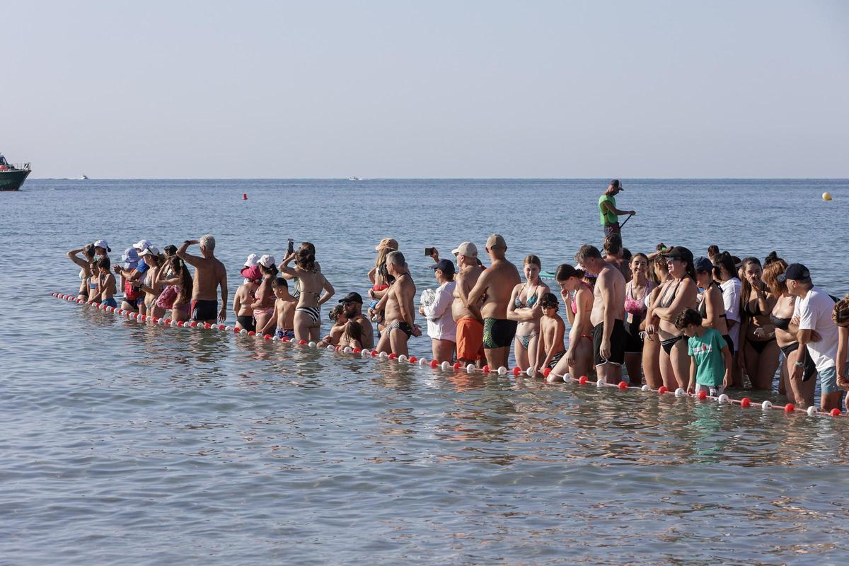 Las imágenes de La Travesía a nado Tabarca - Santa Pola