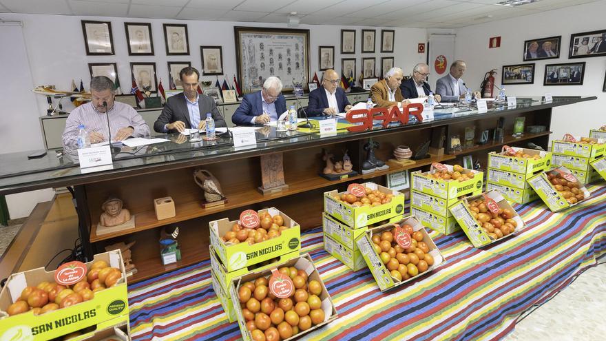 Los tomateros de La Aldea se unen a Spar, en medio de sus millonarias pérdidas por un hongo