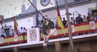 El hilo que recopila las tradiciones "más vergonzosas" con animales en España