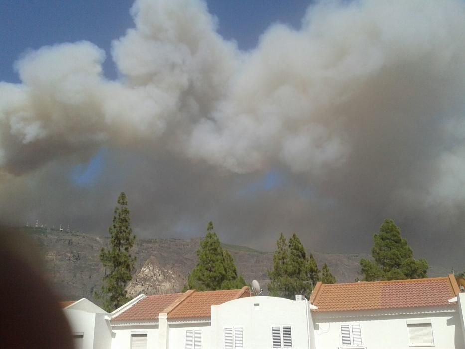 Incendio en Tejeda