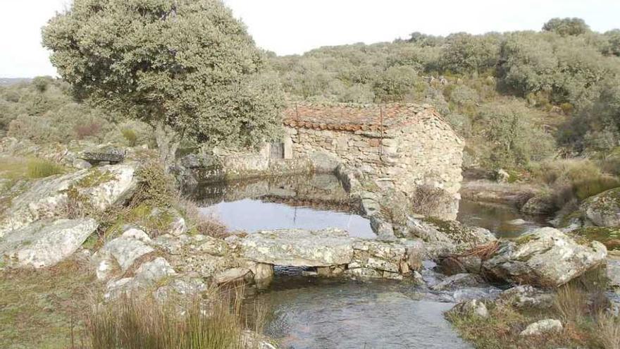 Arroyo de la Rivera, depósito y molino de Torregamones.