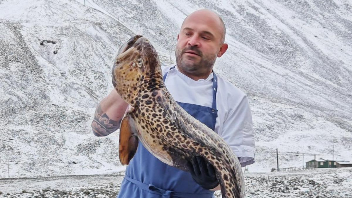 Alberto Lozano, chef del restaurante Huset, en el archipiélago de Svalbard, posa con un pez lobo.