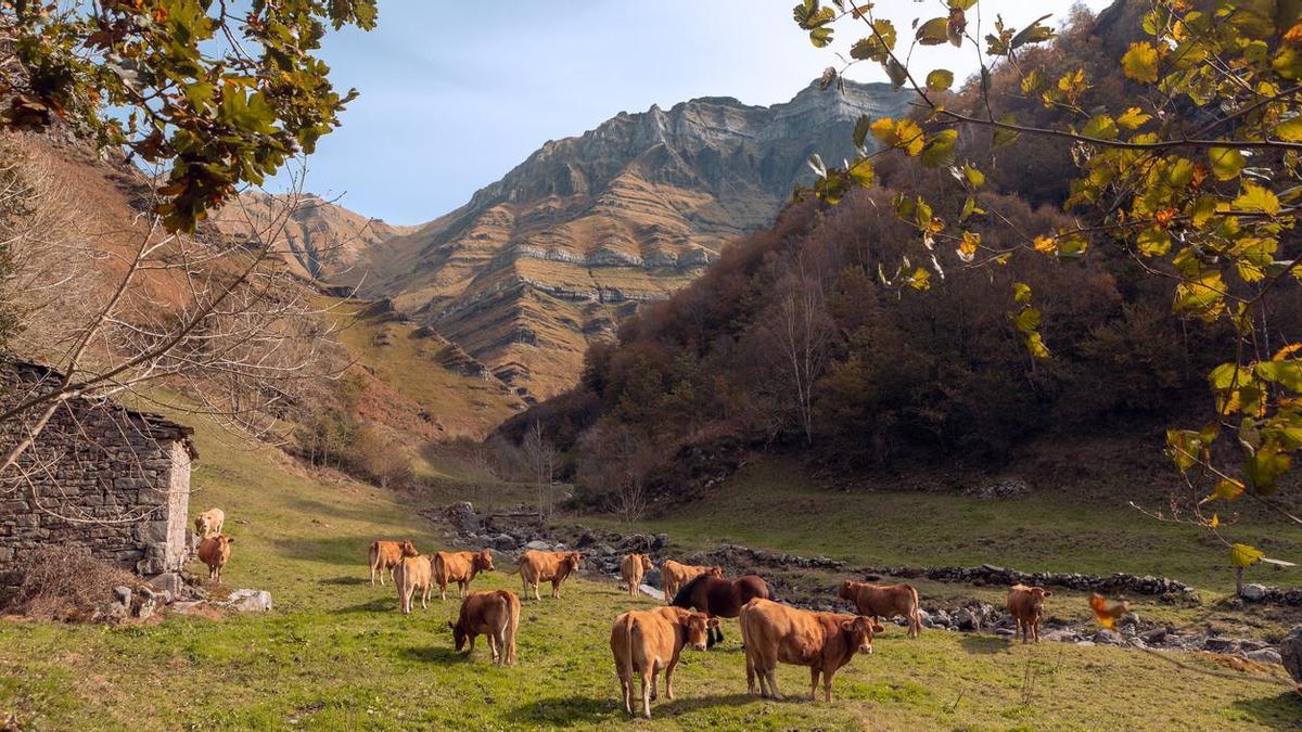 La casa rural más famosa de la élite de Cantabria es un refugio de montaña reconvertido en alojamiento de diseño