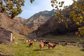 La casa rural más famosa de la élite de Cantabria es un refugio de montaña reconvertido en alojamiento de diseño
