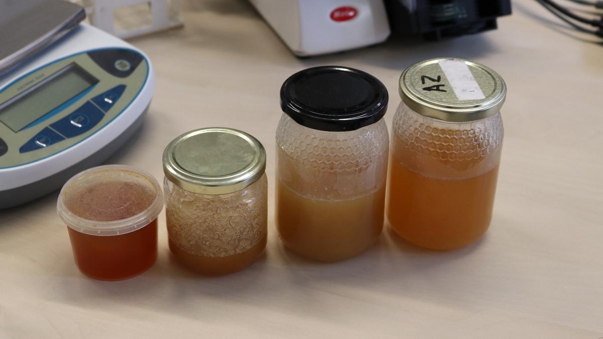 Proves en pots de mel elaborades per a La Unió