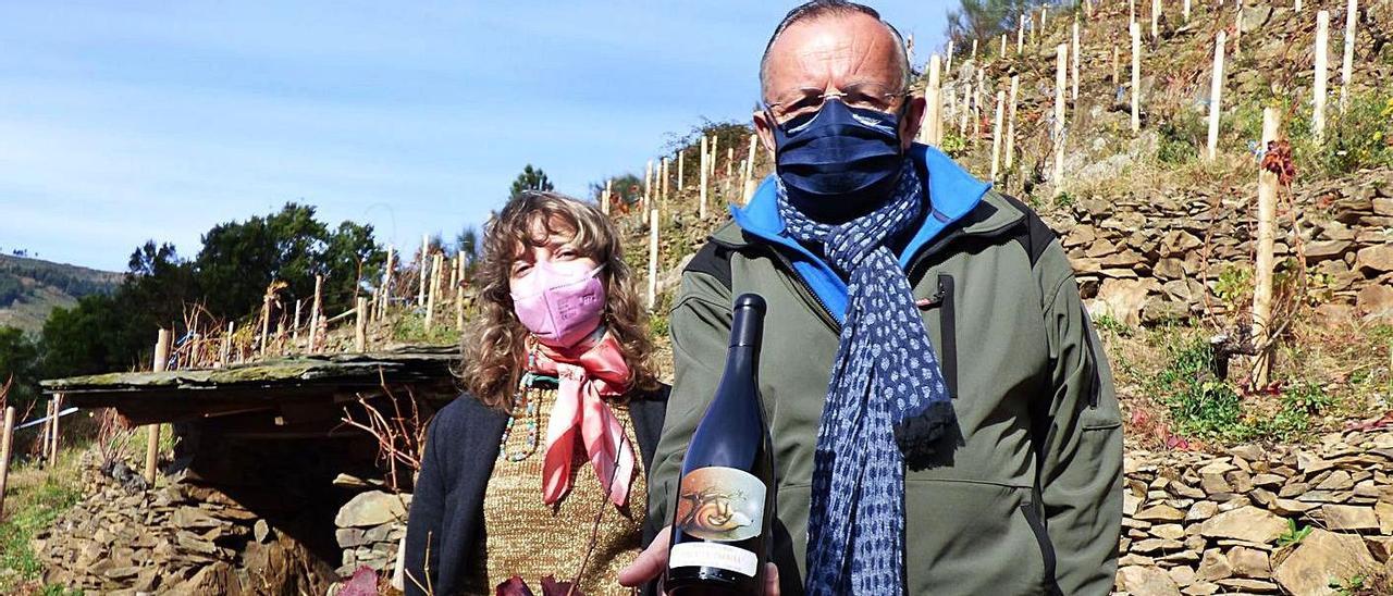 Benjamín Alba, junto a Andrea González, trabajadora de la bodega, en la viña “La Zorrina”, con una botella del vino elaborado con su producción. | D. Á.