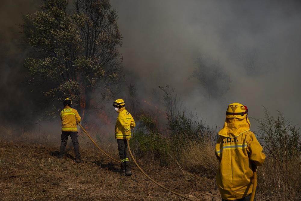 Incendi a Caldes de Malavella.