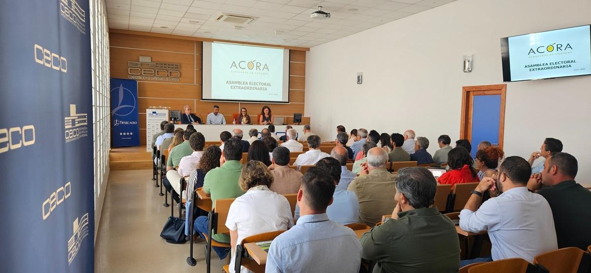Asamblea electoral extraordinaria de la Asociación Empresarial de Almazaras Industriales de Córdoba.