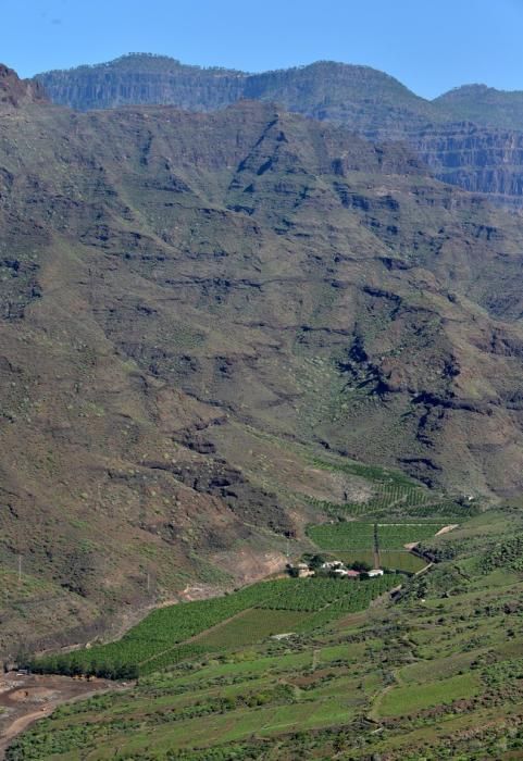 VENEGUERA BARRANCO MOGÁN TABAIBALES CARRETERA ...