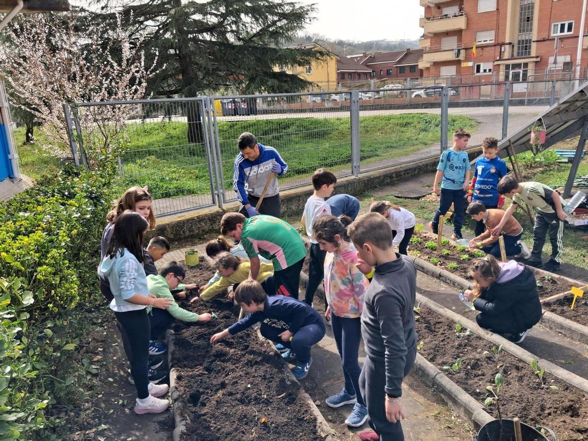 Escolares, trabajando en el huerto.
