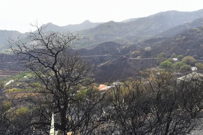 Zona quemada en Cueva Grande