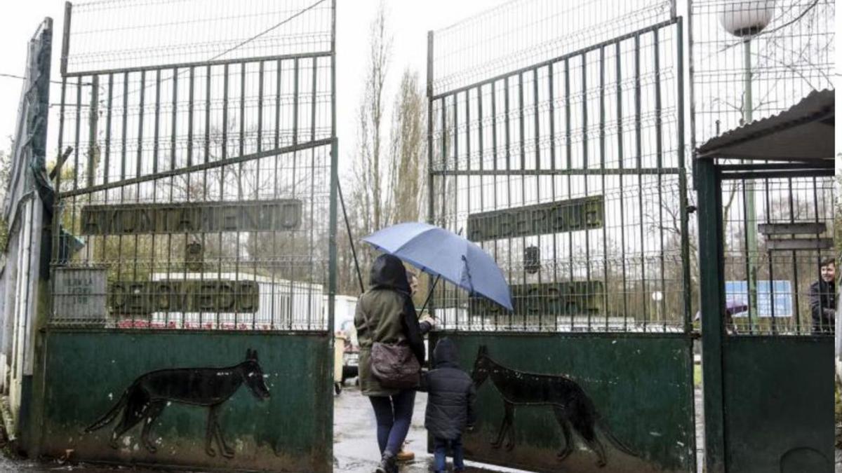 La entrada del albergue de animales de La Bolgachina.